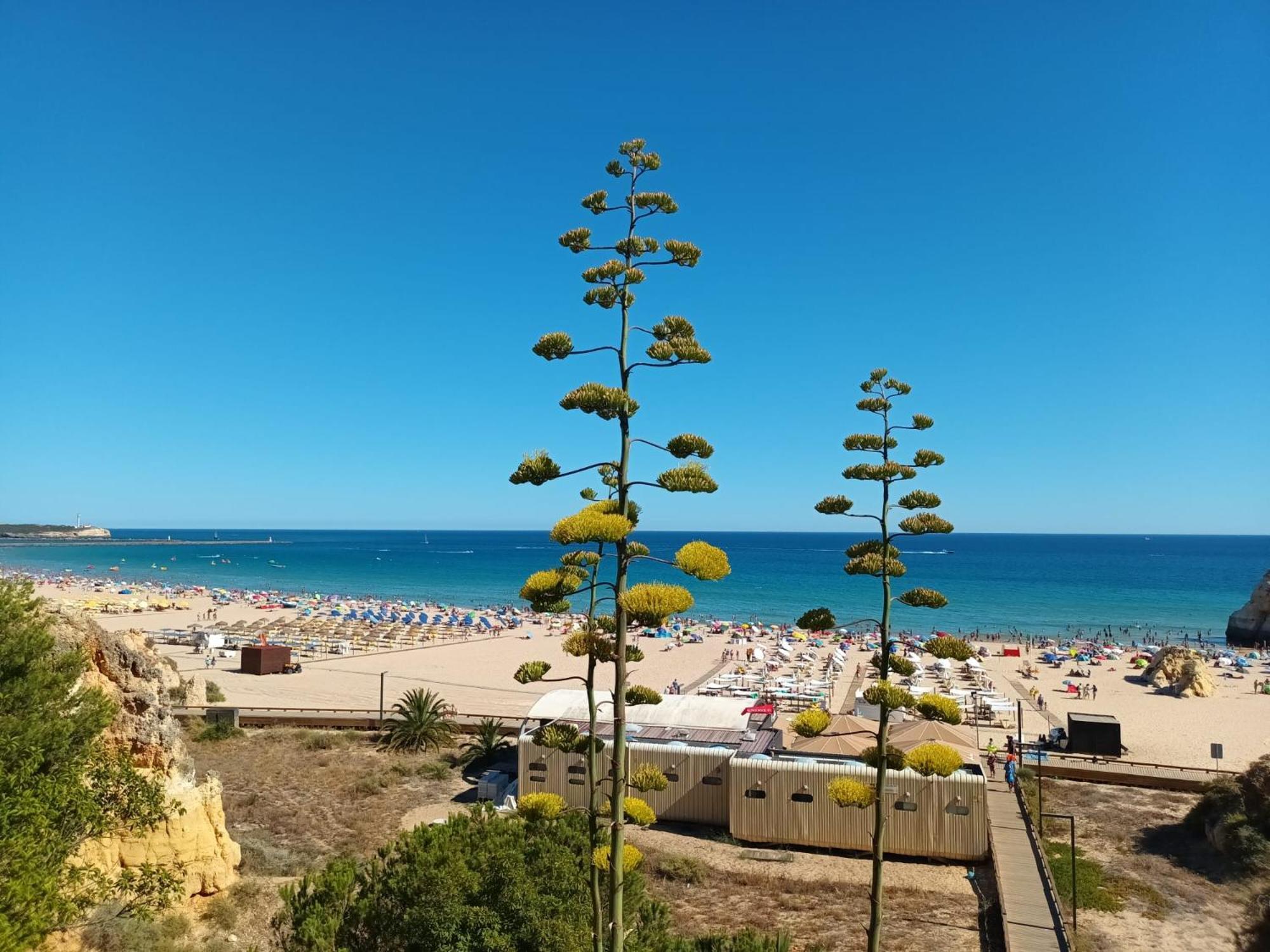 Luxury 2 Min Beach With Balcony, Ocean View, Wifi, Ac, Smarttv Portimao Exterior photo